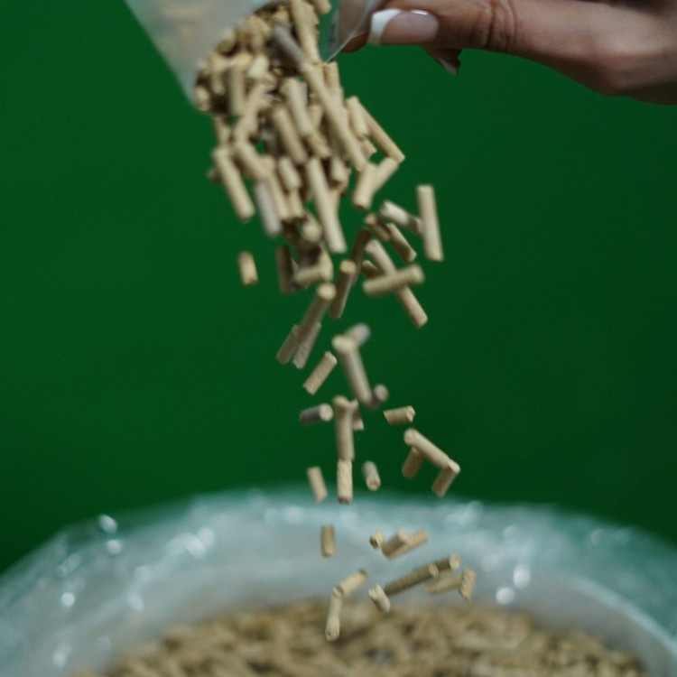 مکمل کالفورمیک (calphormic) رشد کره اسب و تقویت استخوان بندی ۵ کیلوگرمی