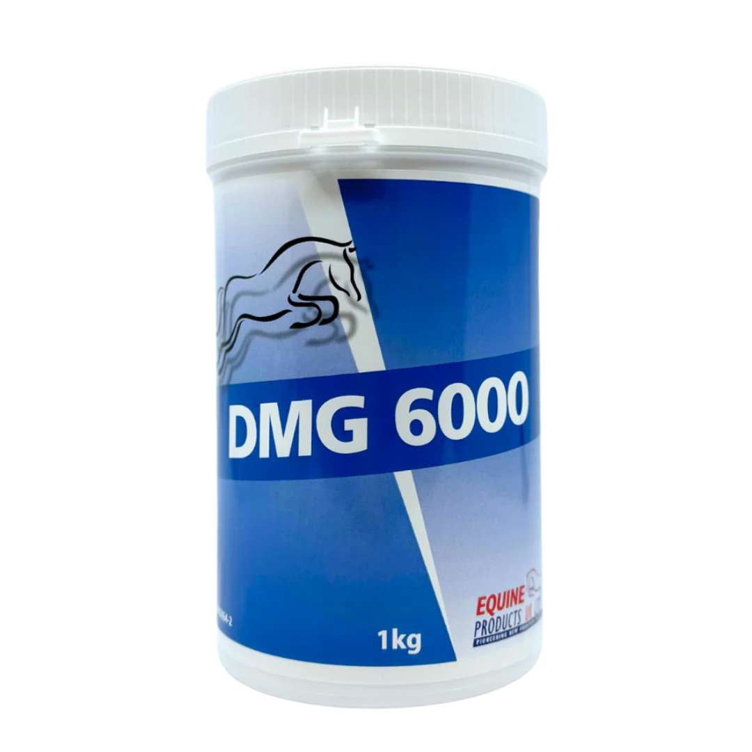 مکمل انرژی‌زا و عملکردی DMG
