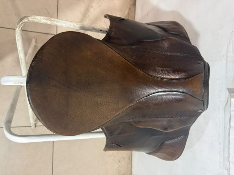 زین درساژ اشتوبن (Stübben) آلمان – کارکرده در حد نو (کد ۳۱۷)