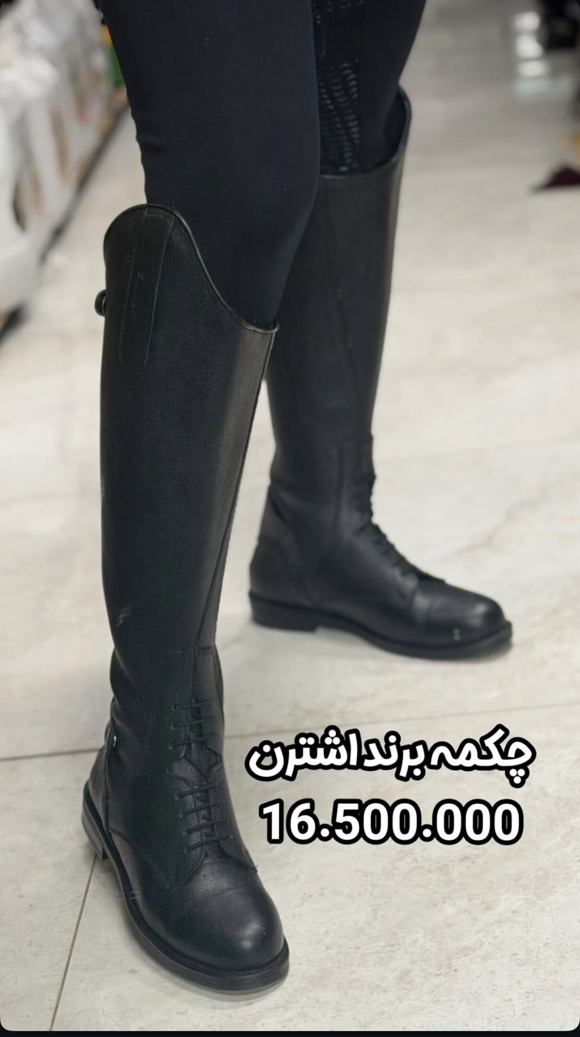ست کامل سوارکاری VIP استرن (به همراه جوراب هدیه)